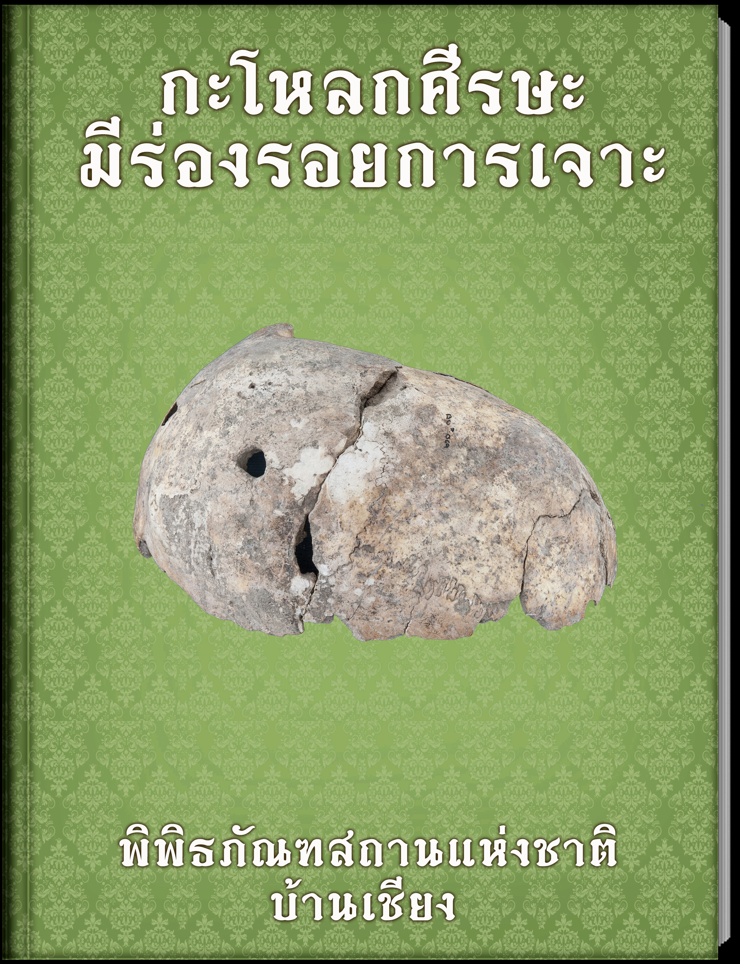 กะโหลกศีรษะมีร่องรอยการเจาะ