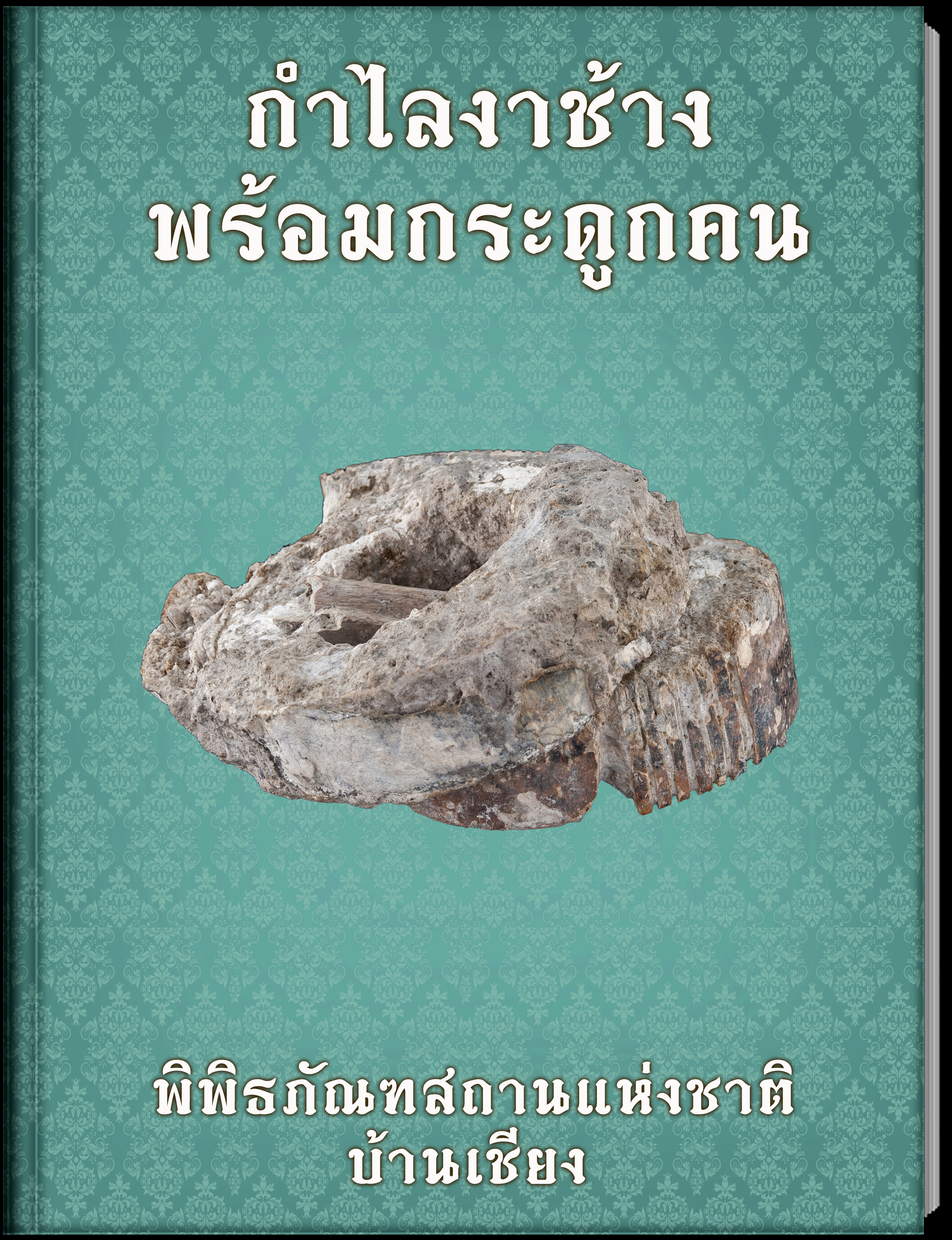 กำไลงาช้าง พร้อมกระดูกคน