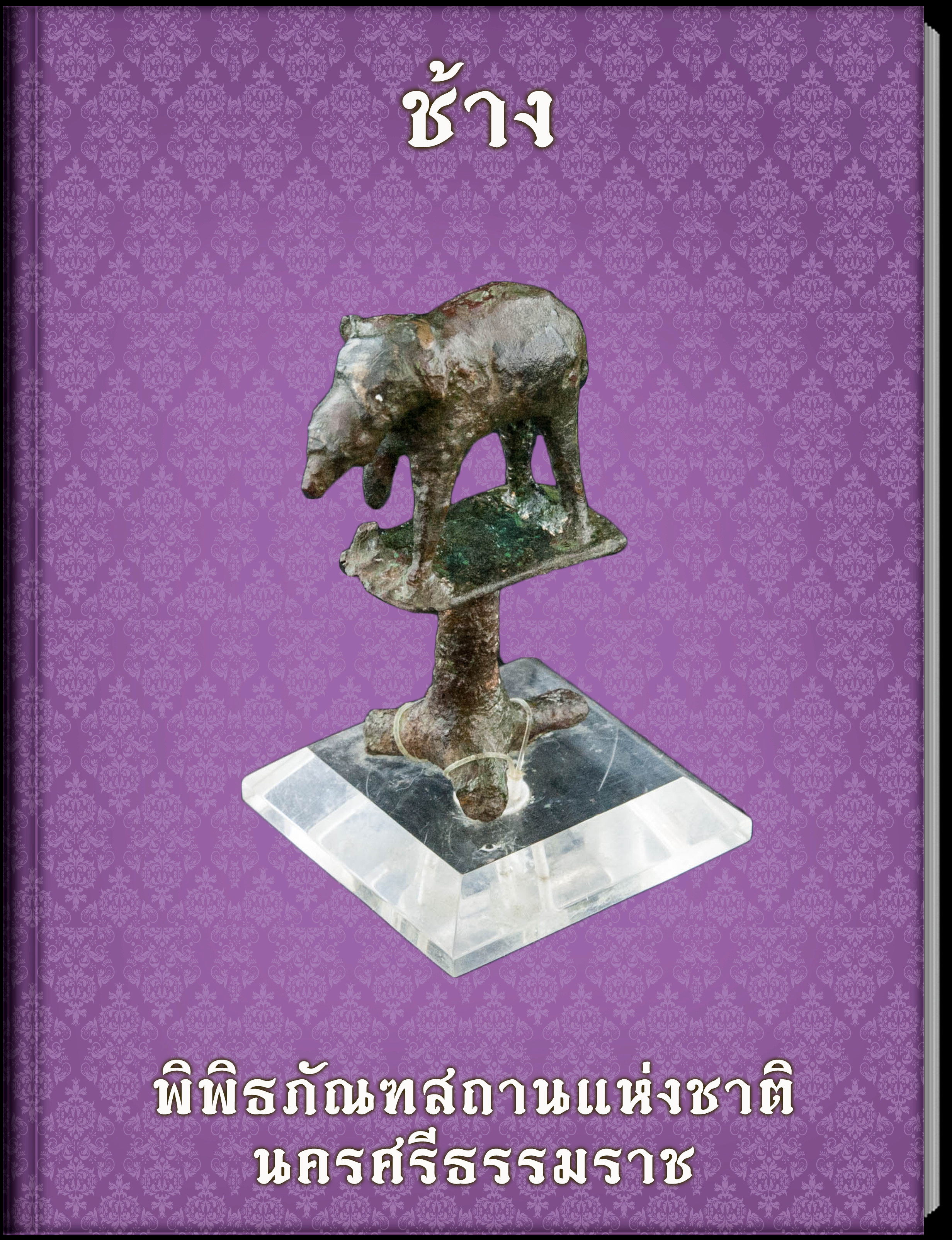 ช้าง